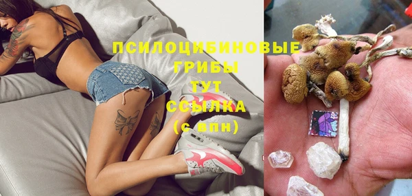 таблы Осташков