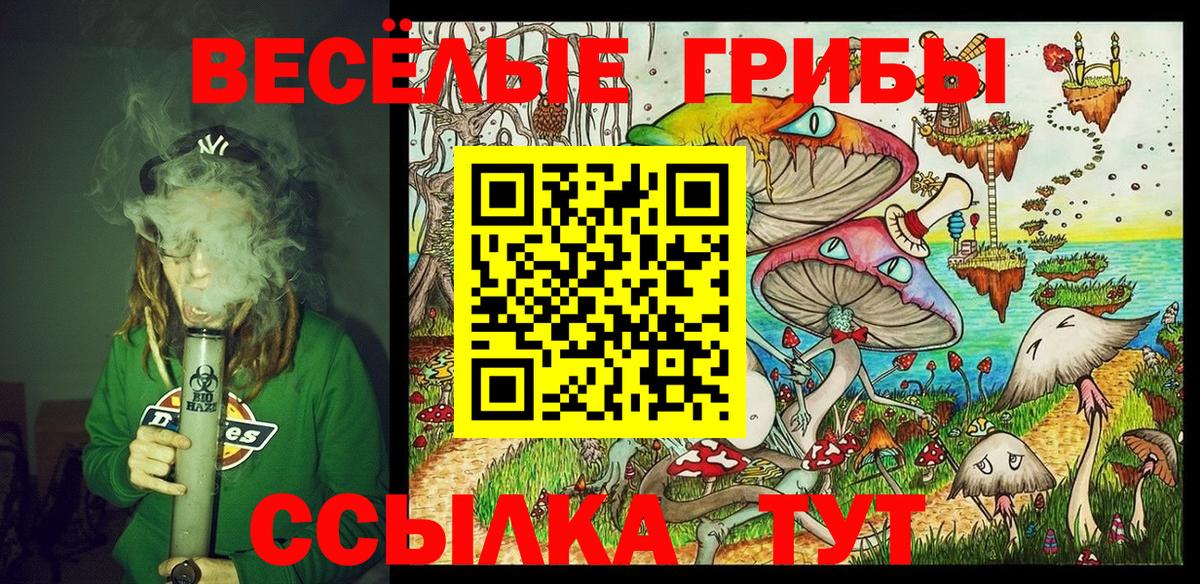Псилоцибиновые грибы Cubensis Людиново
