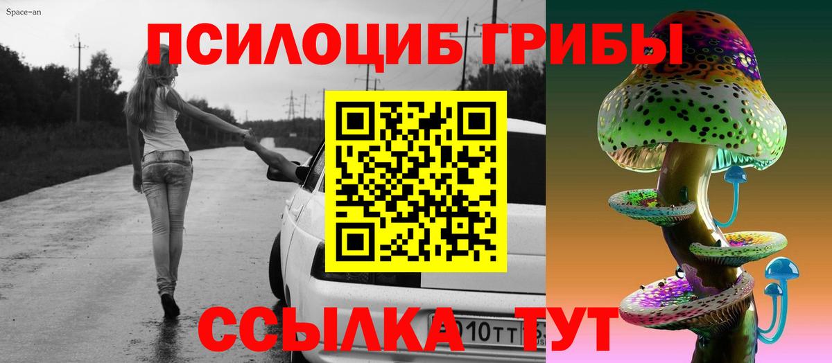 Меф Людиново